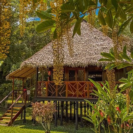 פוארטו מלדונדו Corto Maltes Amazonia Lodge מראה חיצוני תמונה