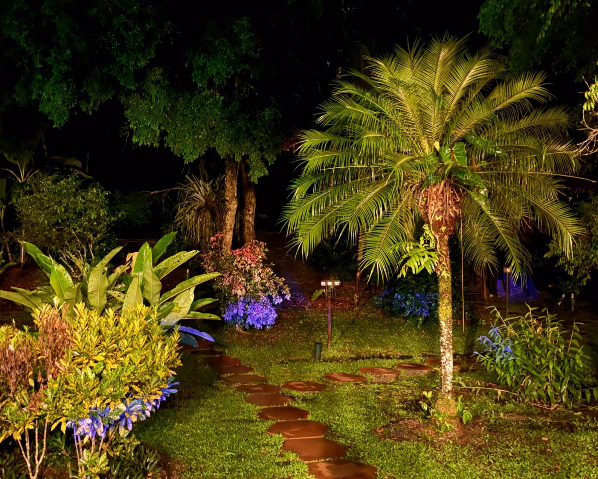 פוארטו מלדונדו Corto Maltes Amazonia Lodge מראה חיצוני תמונה