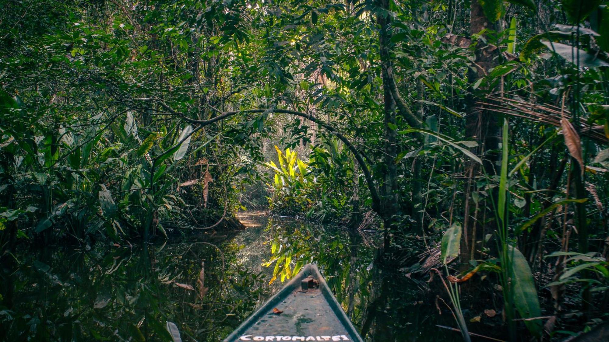 פוארטו מלדונדו Corto Maltes Amazonia Lodge מראה חיצוני תמונה