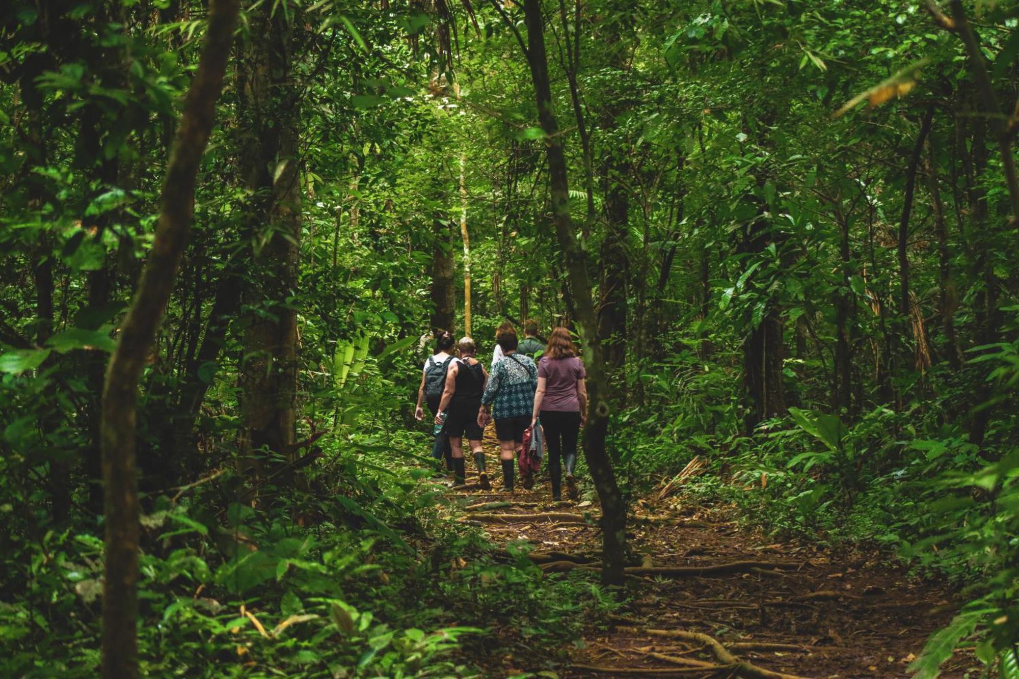 פוארטו מלדונדו Corto Maltes Amazonia Lodge מראה חיצוני תמונה
