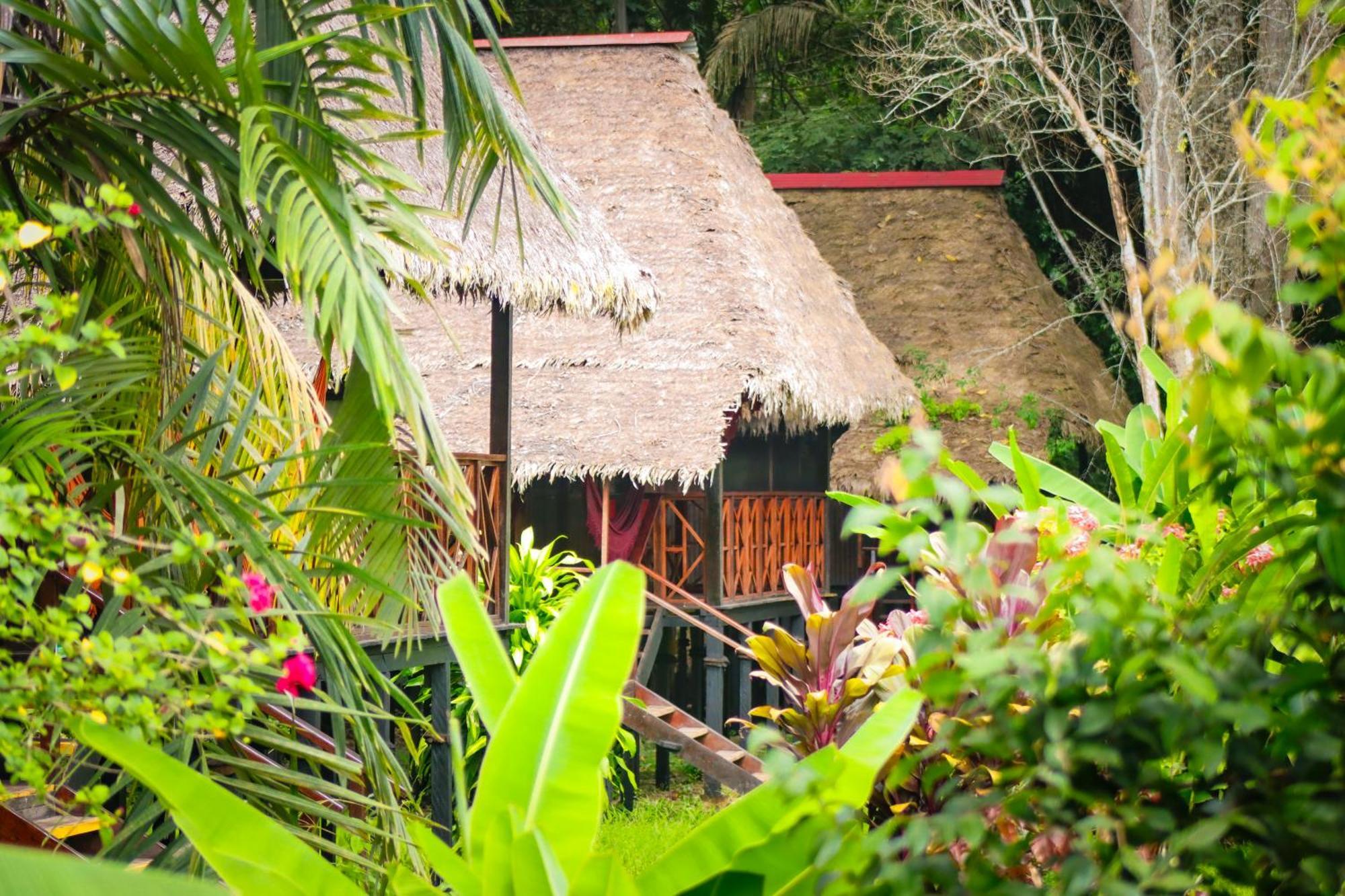 פוארטו מלדונדו Corto Maltes Amazonia Lodge מראה חיצוני תמונה