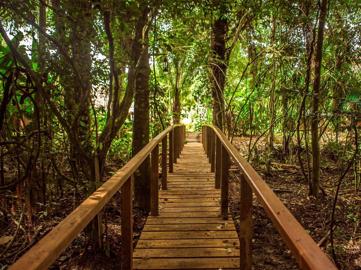 פוארטו מלדונדו Corto Maltes Amazonia Lodge מראה חיצוני תמונה